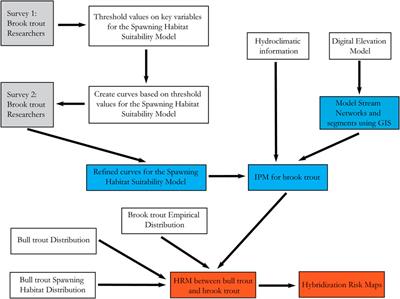 Assessing Hybridization Risk Between ESA-Listed Native Bull Trout (Salvelinus confluentus) and Introduced Brook Trout (S. fontinalis) Using Habitat Modeling